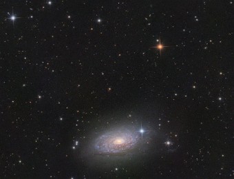 2021/03 M63 - Sonnenblumengalaxie Die Sonnenblumengalaxie liegt ca. 25 Millionen Lichtjahre von der Erde entfernt und hat einen Durchmesser von ca. 50.000 Lichtjahren. Die Sonnenblumenkerne sind...