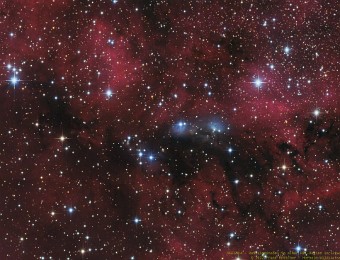 2022/08 NGC6914 Ein Reflexionsnebel in einer HII Region im Sternbild Schwan Beschreibung: NGG 6914 ist ein blauer Reflexionsnebel verursacht durch O- und B-Sterne im Zentrum. Das dann eingebettet in ein weites rotes Wasserstofffeld. Zu...