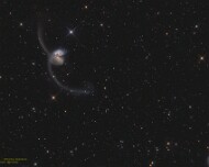 2024/05 NGC4038 - Antennengalaxien Die Antennen-Galaxien bilden ein Paar stark miteinander wechselwirkender Galaxien im Sternbild Rabe südlich des Himmelsäquators. Das Paar besteht aus den beiden...