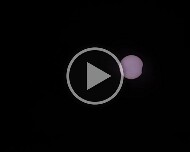 2026/08 Partielle Sonnenfinsternis 2026 (mit Ton) Die partielle Sonnenfinsternis vom 12.08.2026 wurde mit 1 Bild / 7 Sekunden aufgenommen und als Zeitraffer gerechnet. Hier ist der volle Bildausschnitt mit dem...