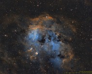 2021-25 IC410 Kaulquappennebel Der Kaulquappennebel (IC410), der im Sternbild des Fuhrmann zu finden ist, ist ungefähr 10.000 Lichtjahre entfernt und besteht in der Mitte auch einem sehr...