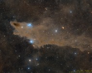 2023/09 LDN1235 Dunkler Haifisch-Nebel Der Dunkelnebel LDN 1235 ist Teil einer großen Staubansammlung und erinnert beim Betrachten an einen Hai. Er befindet sich im Sternbild Kepheus und ist etwa...